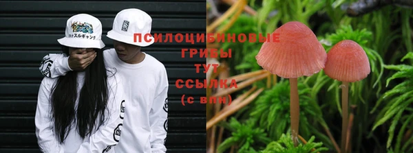 сатива Богородицк