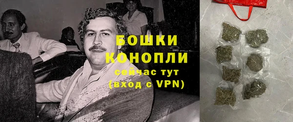 дживик Богородск