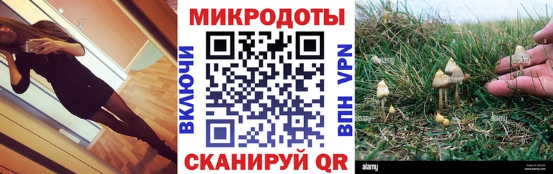 Псилоцибиновые грибы Magic Shrooms  где продают   Каневская 
