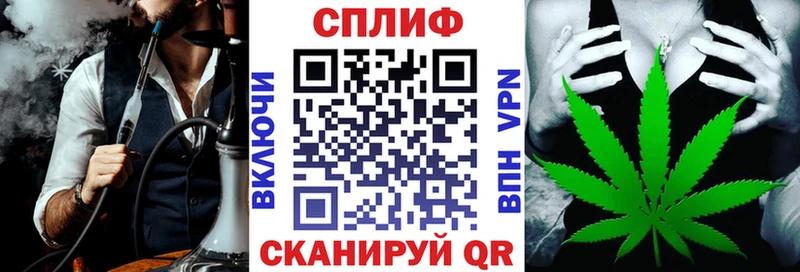 Каннабис сатива Каневская
